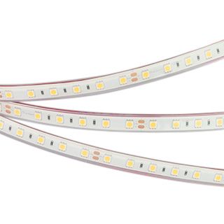 Светодиодная лента герметичная RTW-PFS-B60-13mm 24V Day5000 (14.4 W/m, IP68, 5060, 5m)