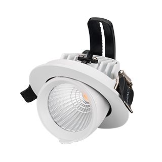 Светильник LTD-EXPLORER-R100-12W Day4000 (WH, 38 deg) (IP20 Металл, 3 года)