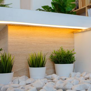 Гибкий неон LED SMD 8х16 мм, односторонний, теплый белый, 120 LED/м, 5 м