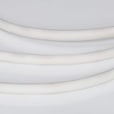 a_DL-06600-0005.jpg