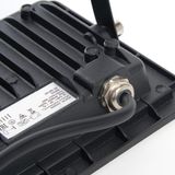 e_55066.jpg