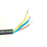 e_55231.jpg