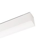 b_DL-12600-0297.jpg