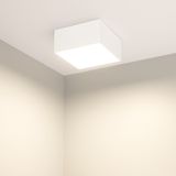 e_DL-12400-0469.jpg