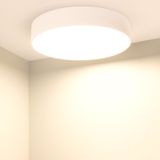 d_DL-12400-0572.jpg