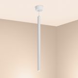 b_DL-12400-0395.jpg