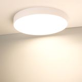 b_DL-12700-0090.jpg