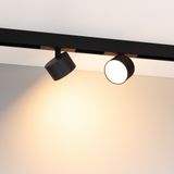 b_DL-12600-0575.jpg