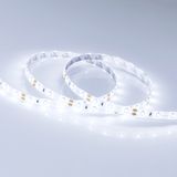 d_DL-06900-0500.jpg