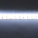 c_28491.jpg
