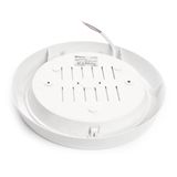 d_41796.jpg