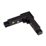 a_DL-12600-0185.jpg