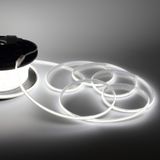 a_90094.jpg
