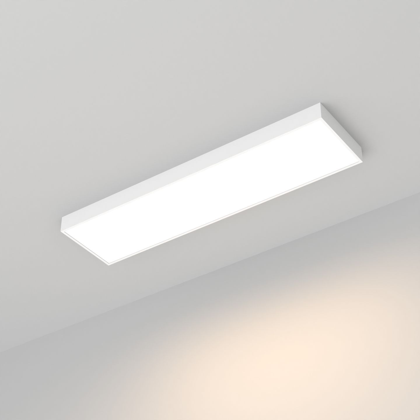 e_DL-04900-0001.jpg