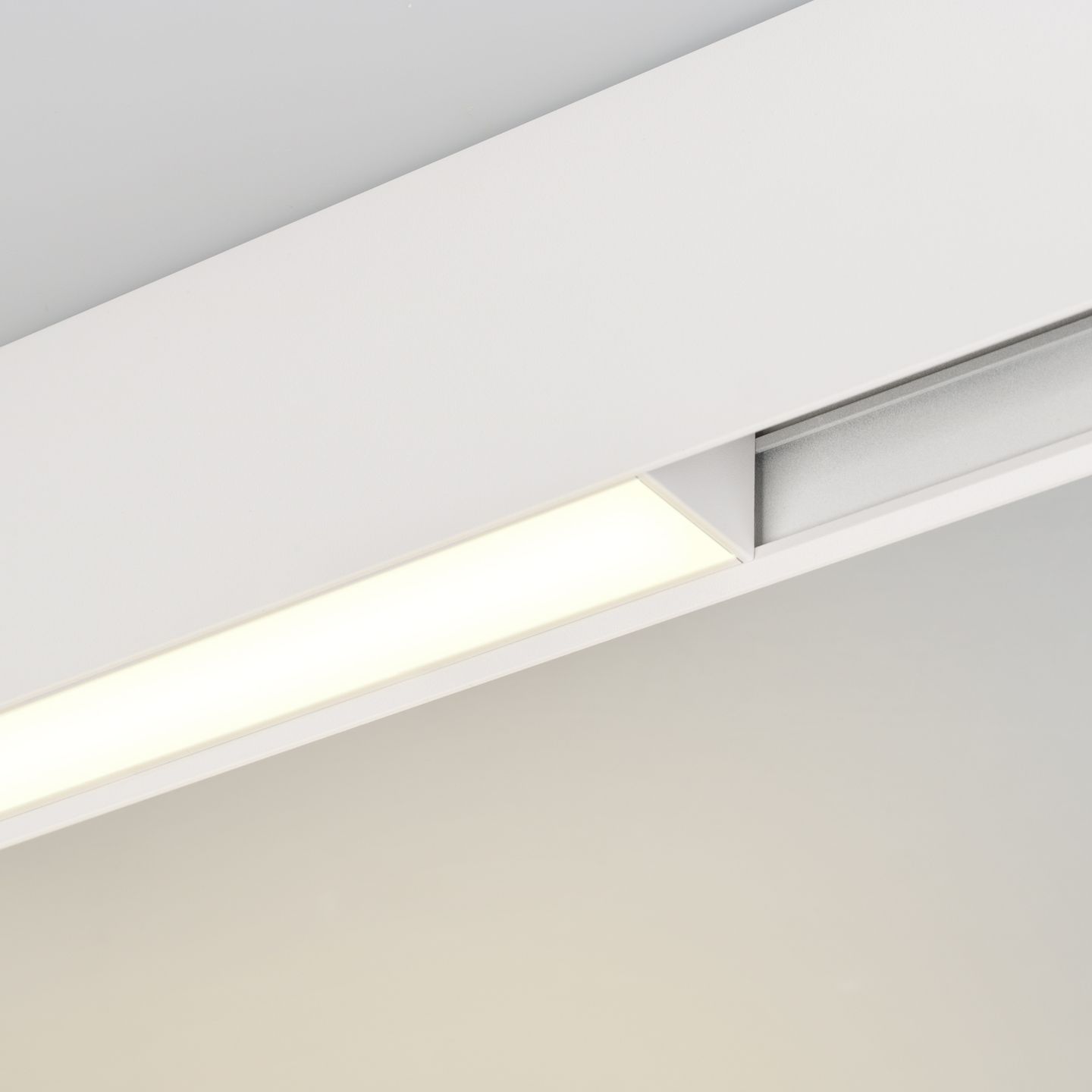 c_DL-12600-0290.jpg