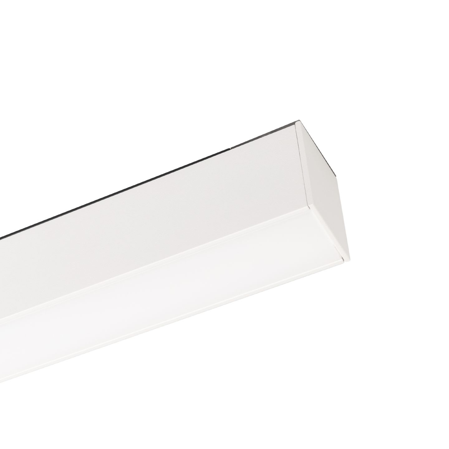 b_DL-12600-0297.jpg