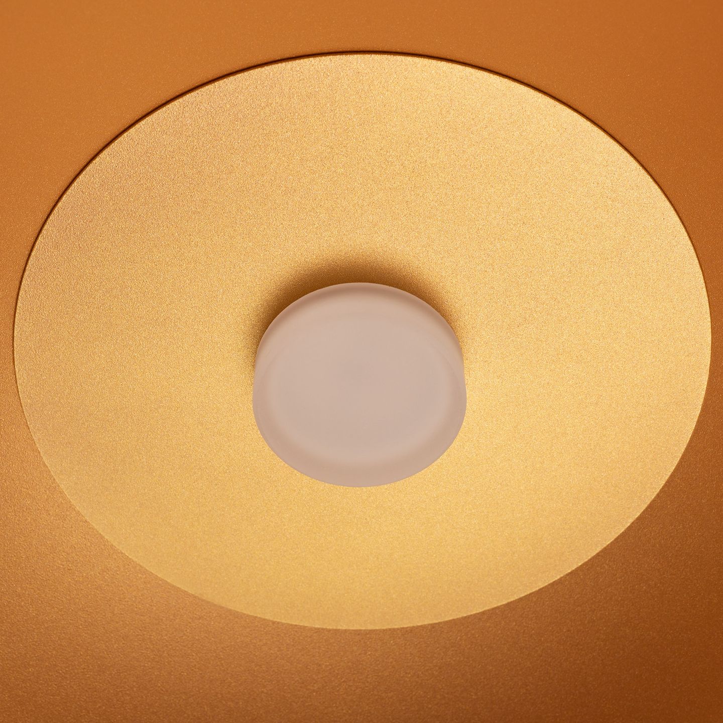 c_DL-12400-0496.jpg
