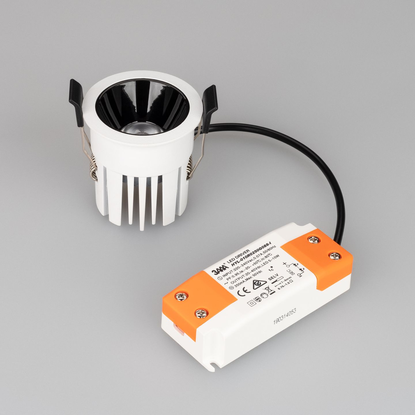 f_DL-04300-0095.jpg